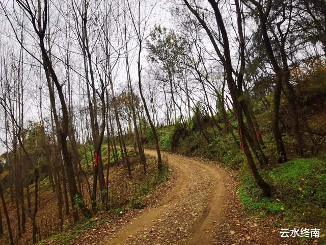|这座山头上的神庙，开车就能上去，我第三次来这里了