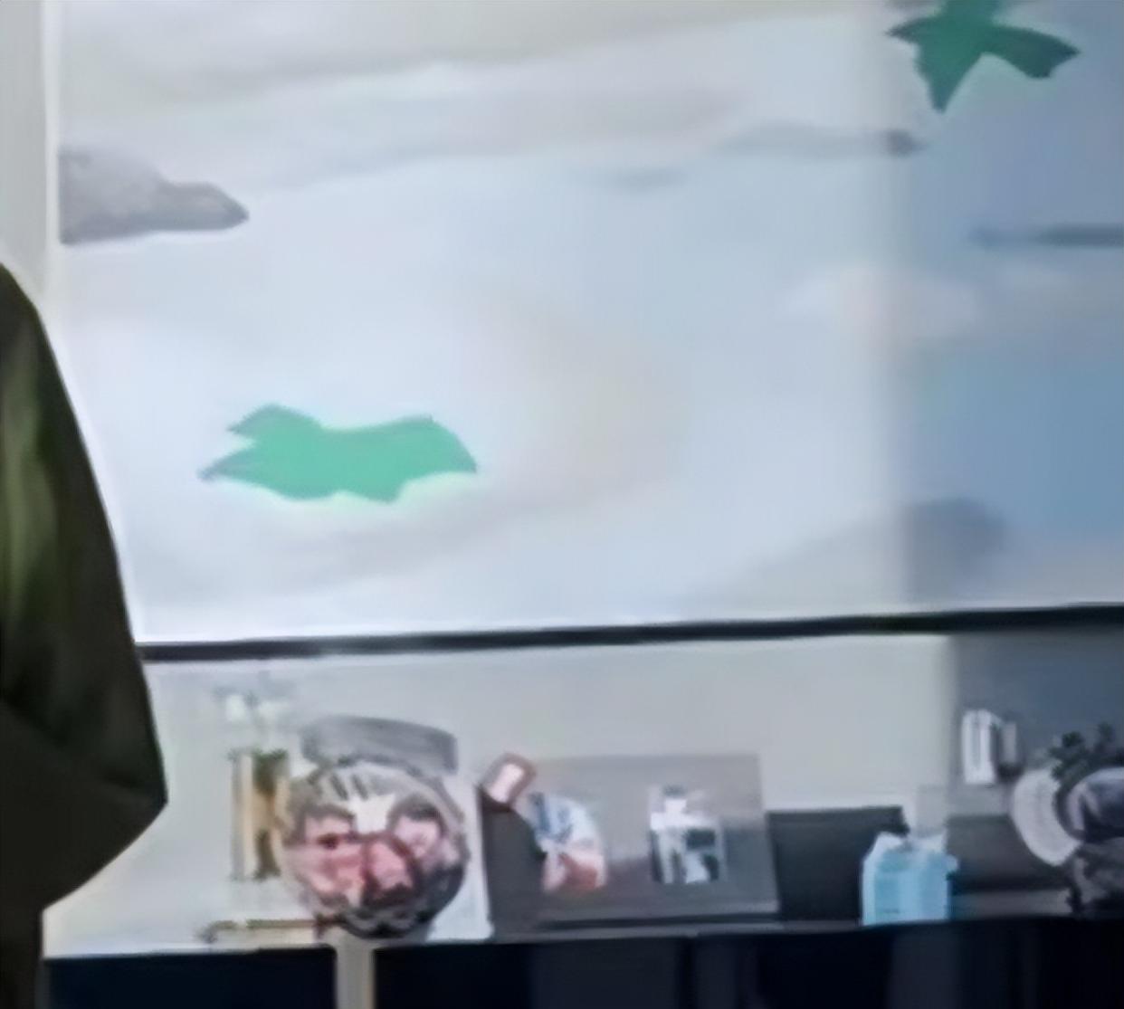 柯佳嬿|孙莉携仨子女踏冰,多多素颜出镜脸型变精致,网友直呼被美晕了