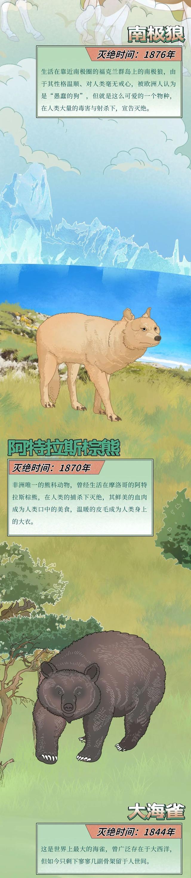 “第六次全球动植物大灭绝,正在进行中……”一组漫画了解