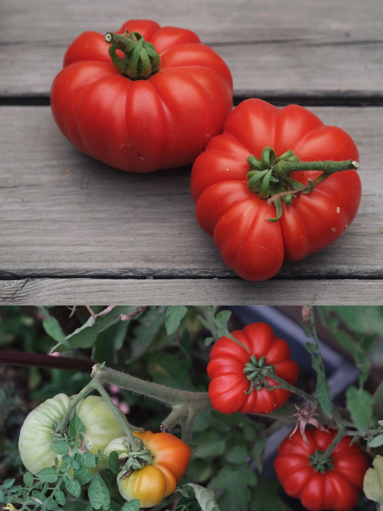 买房子时,免费送的30㎡露台,打造浪漫又实用的空中花园,太美啦