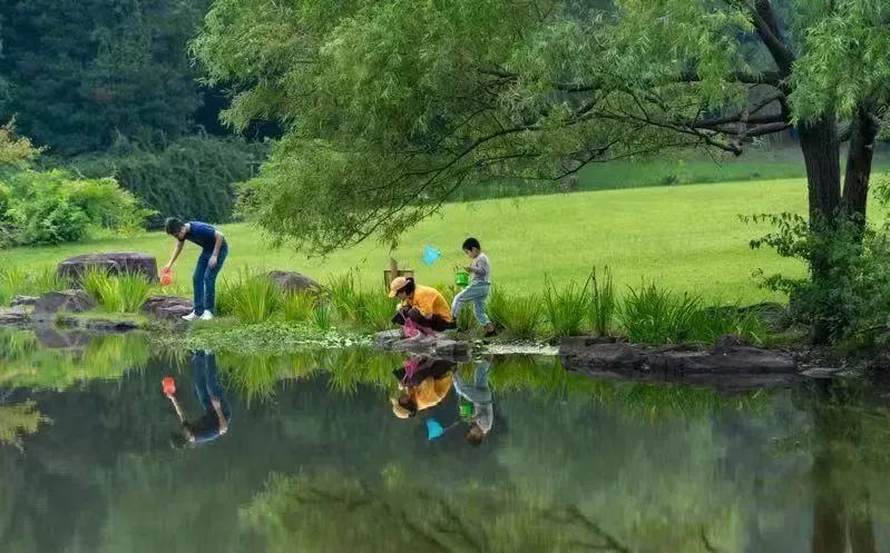 小鹏p5|“出圈”的露营如何“走远”