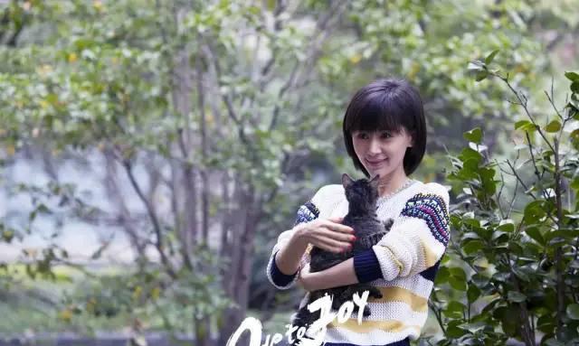 欢乐颂|5年后《欢乐颂》五美发展大不同：蒋欣连扑7部剧，杨紫逆袭成顶流