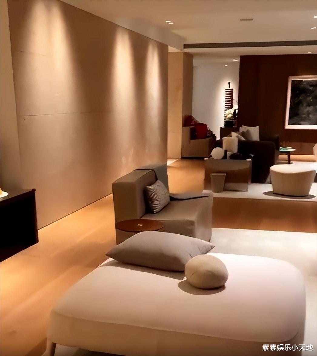 向太|向太首次曝光私人飞机,台北豪宅内摆满古董,奢华家具很有档次