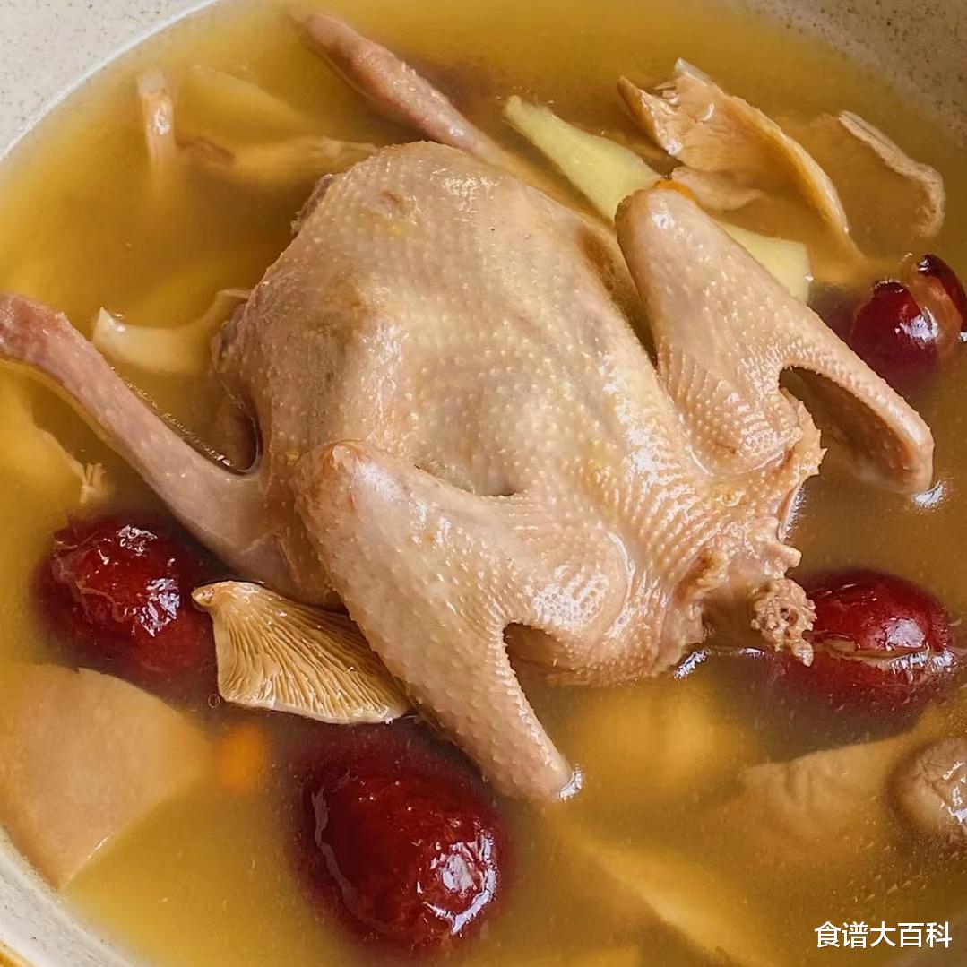 红枣|分享8道补气血食谱、营养滋补、让你轻松恢复气血、建议收藏哦