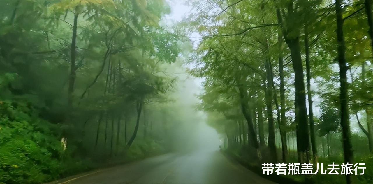 |渝东北自驾游：从亢谷出发一路雨雾蒙蒙像仙境，夜宿开州汉丰湖畔
