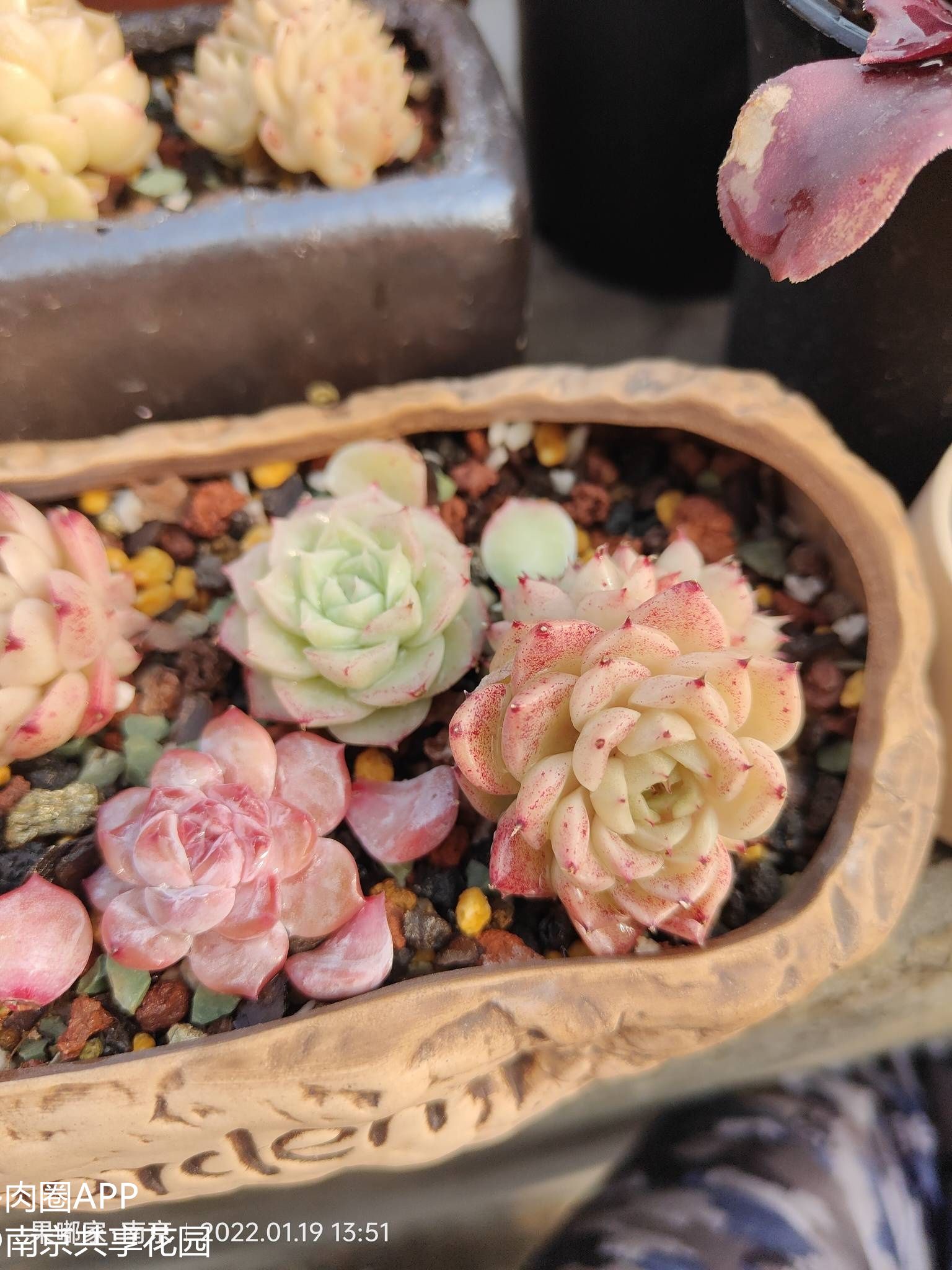 阳台党集合啦!听说还是朝南的阳台更香喔!