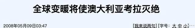 受不了了,别让她死于这场高烧