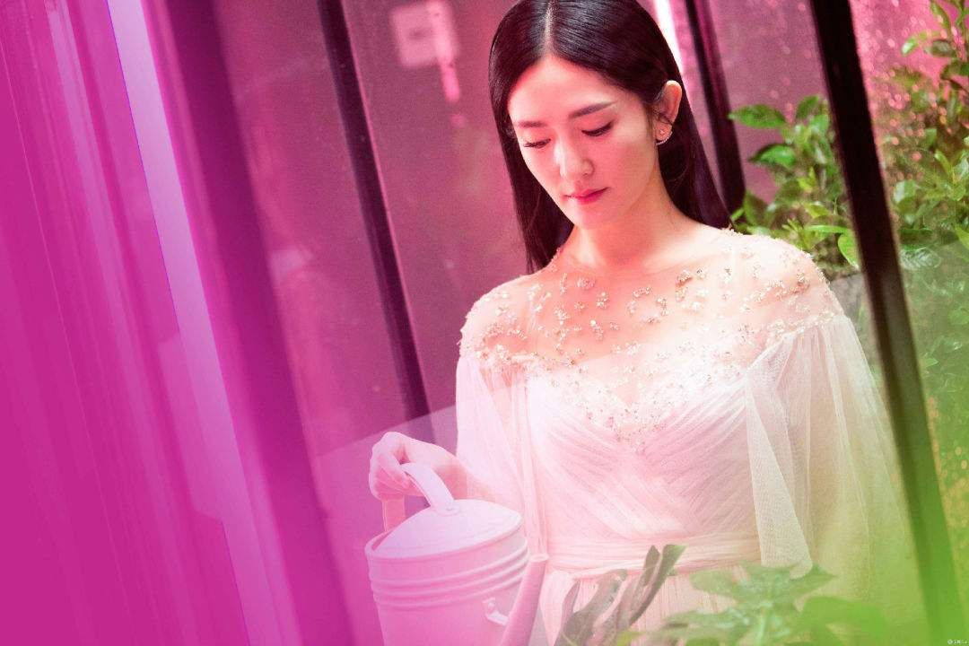 梁朝伟|谢娜发新书,定价过高超莫言,网友调侃她是把手伸进粉丝兜里掏钱