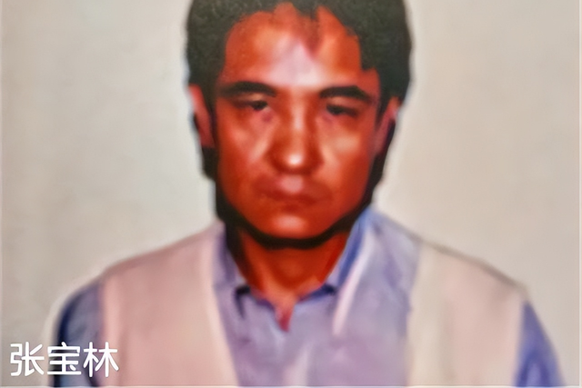 石家庄“黑老大”张宝林:为弟报仇枪杀仇家,《征服》刘华强原型
