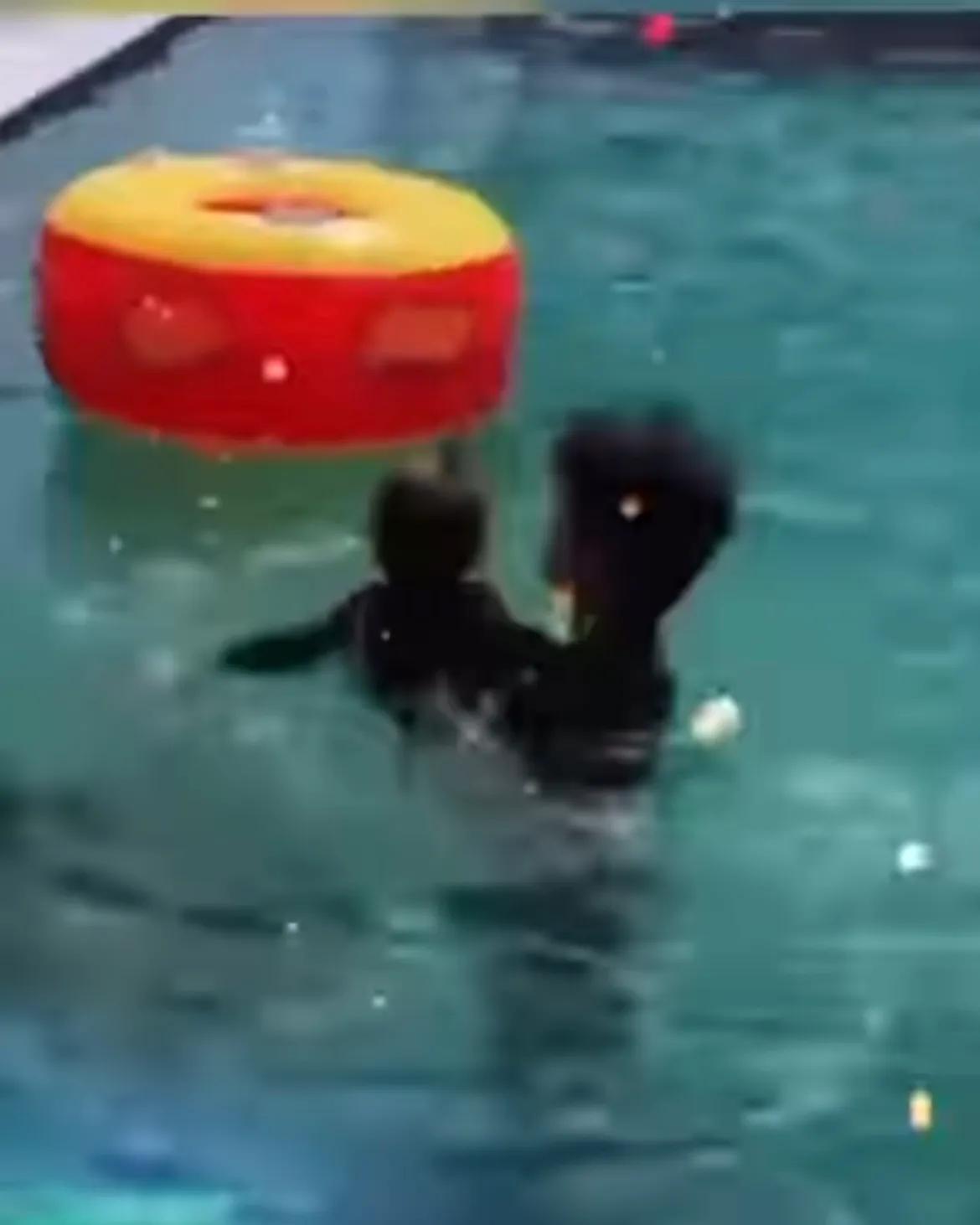 张柏芝|张柏芝为小儿子庆生，4岁小王子和妈妈互动有爱，俩哥哥太宠弟弟