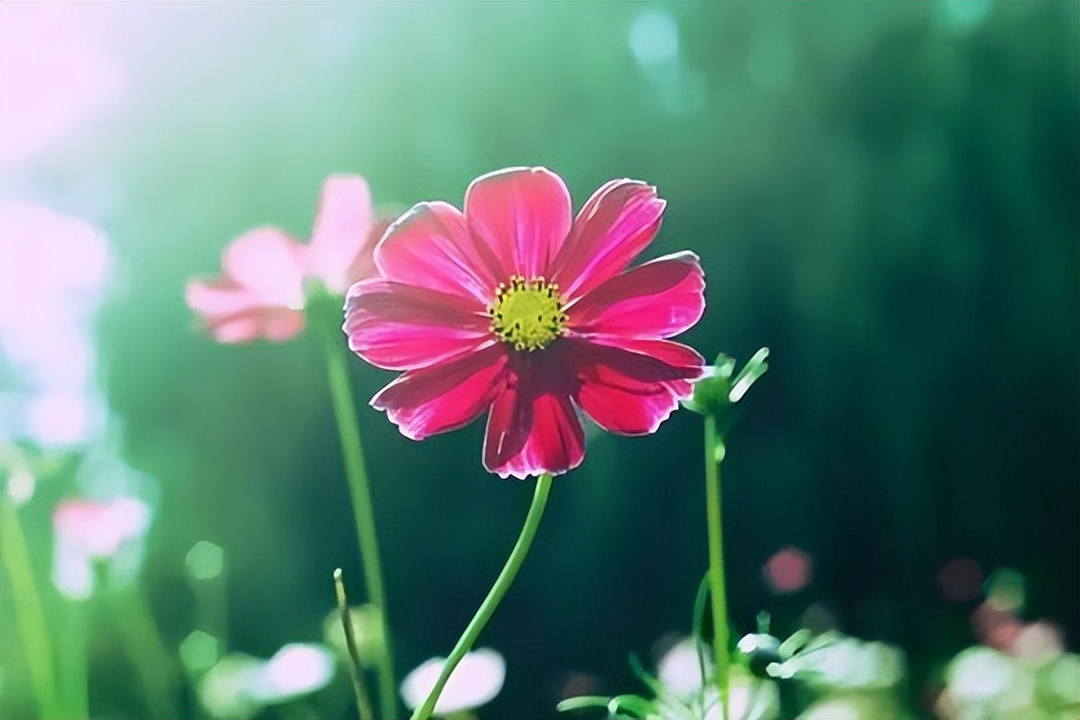 招聘|退休以后,收起你的大方,再有钱也别请这三种人吃饭