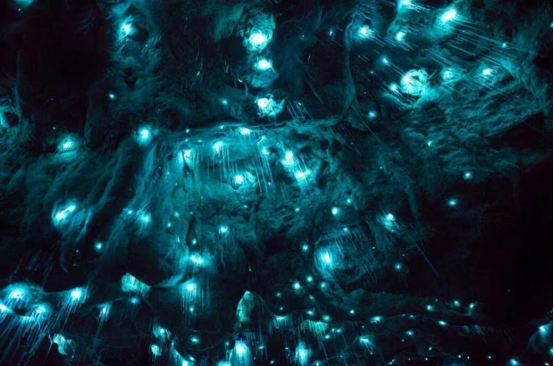 3000万年前的神秘洞穴里,竟然藏着一条星光点点的“银河”