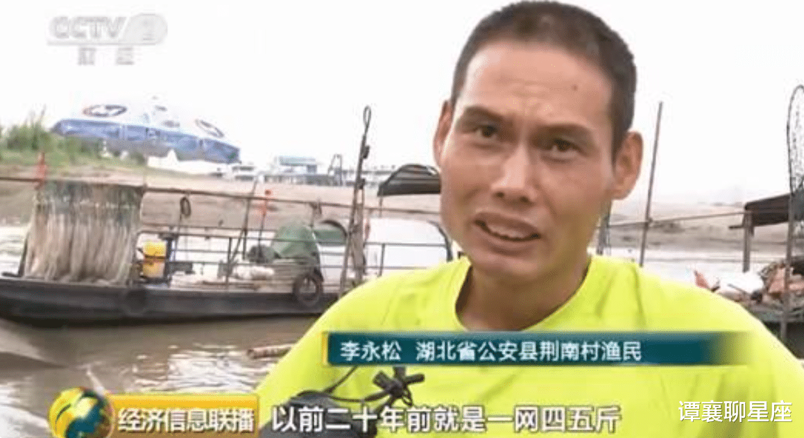 长江的“大试验”:宜都出现大量鱼卵,三峡水库洪峰见成效?