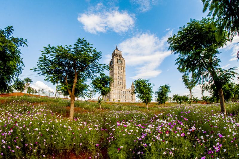 梯田|穿行于红河沿岸：寻秋韵、品秋色、享秋乐