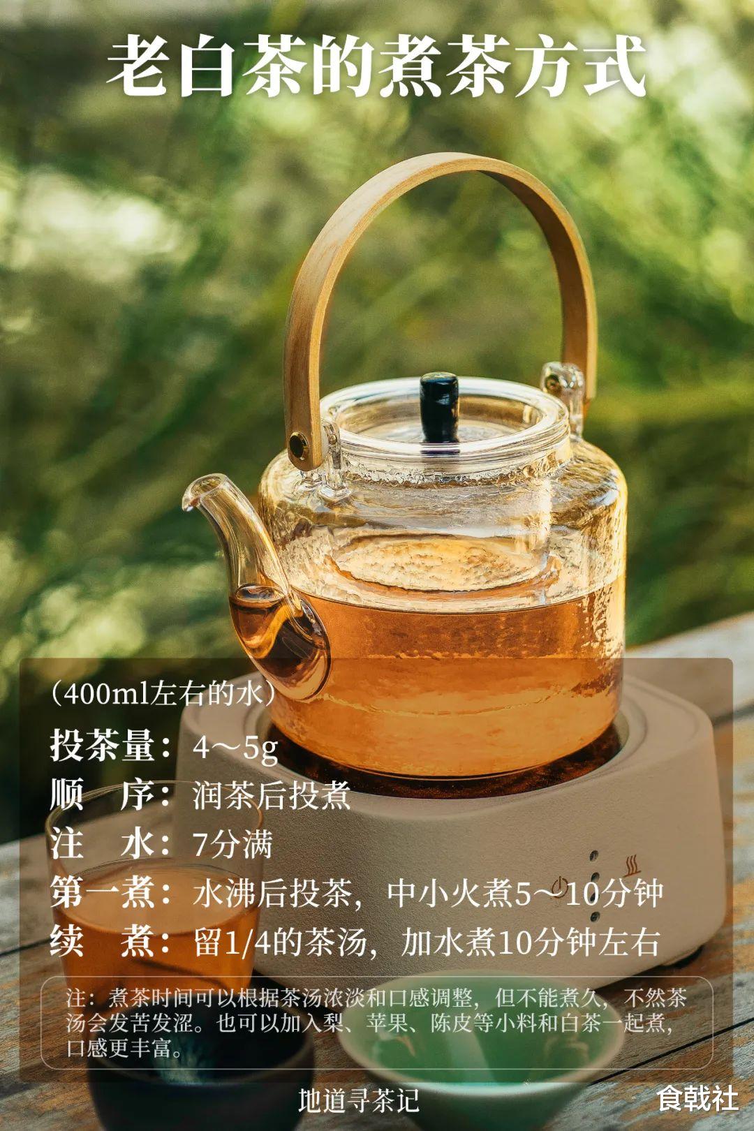 中国白茶地图
