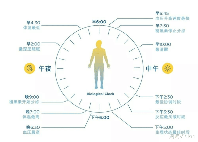血糖|生死轮回两班倒是怎么夺走健康生活的?看完触目惊心