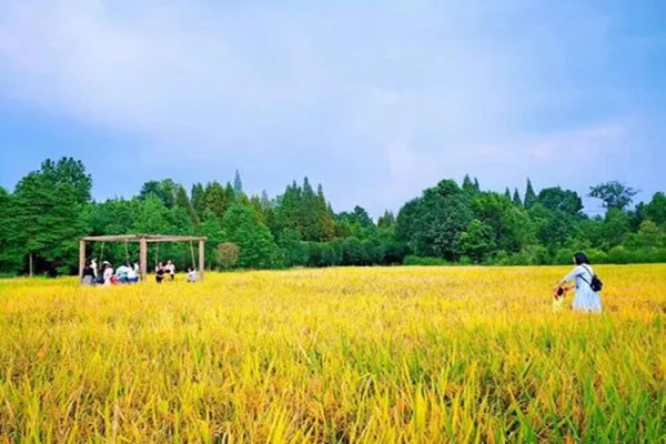 古镇|乡村旅游要留得住乡味
