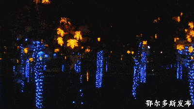 西双版纳|中国最美夜景“灯光璀璨 ”网红打卡地9座城市,你来过吗?