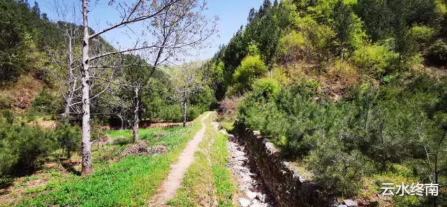 苜蓿|假期不要凑热闹了，找个山清水秀的地方爬爬山、喝喝茶，不香吗？