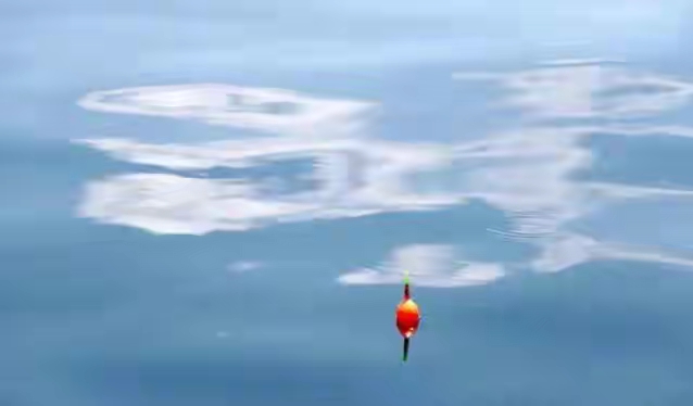 饵料|调漂永远是钓鱼界的话题