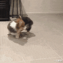 经典|“哪些电影一开始认为是烂片，后来被奉为经典？”评论区真相了！哈哈哈