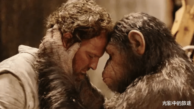 猩猩|《猩球崛起4》官宣明年开拍，2024年上映，猩猩要全面占领地球了