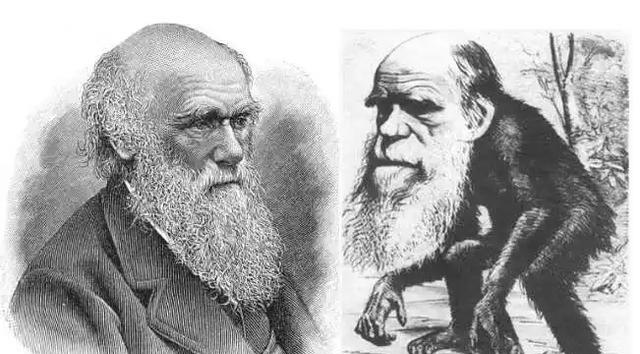 科学家发现“从鱼到人”进化证据,网友疑惑:不是古猿进化的吗?