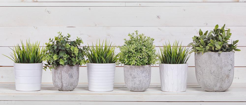 连衣裙|49岁的中年妇女进城，为了一根金项链疯狂地迷恋上了“老男人”