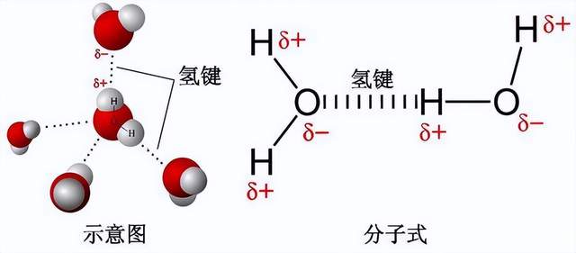 一外国博主称王亚平太空课堂造假,说杯中水有问题,没文化真可怕