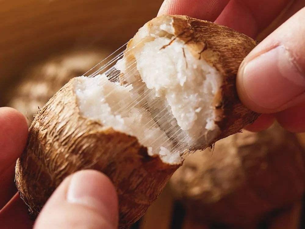 脾胃|立秋后，多给孩子吃这“5种”蔬菜，每一种都大有益处，快收藏