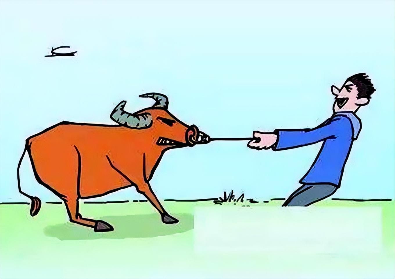 自媒体|您做自媒体不能坚持，只因学偷牛贼，那我为何1天3毛也能坚持？