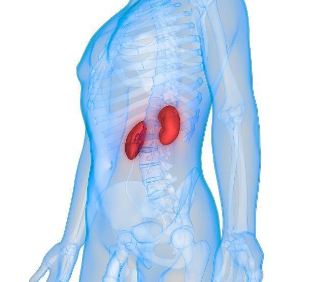 桑葚|肾不好,耳先知,少做3件事,做好一件事,肾可能会慢慢变强壮