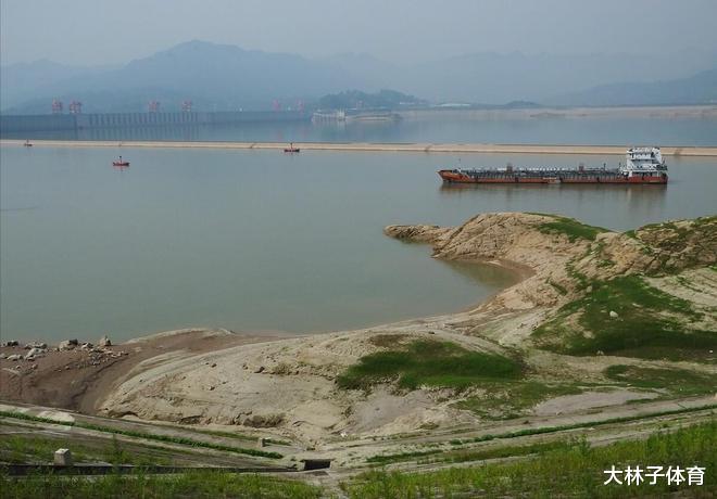 洞庭湖出现大量“鱼坑”,野生鱼群搁浅,为何只能看不能捞?