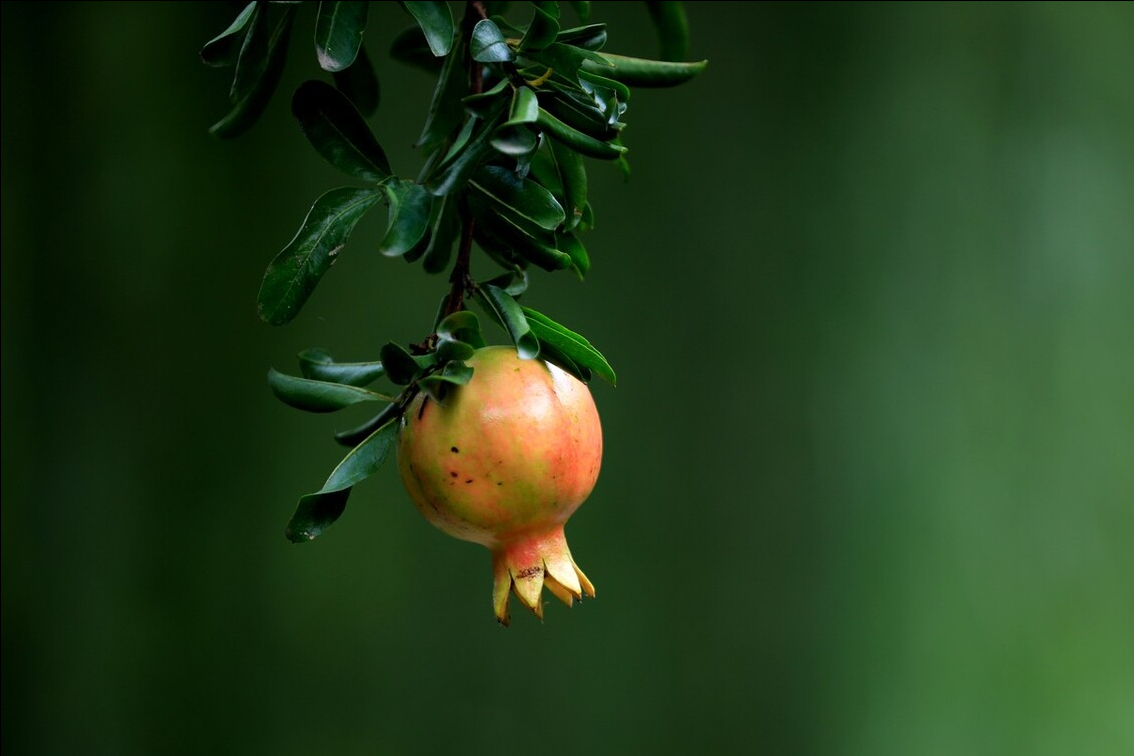 8月15末伏,再忙也别忘喝“3汤”,降火去燥,健康过秋 身体棒