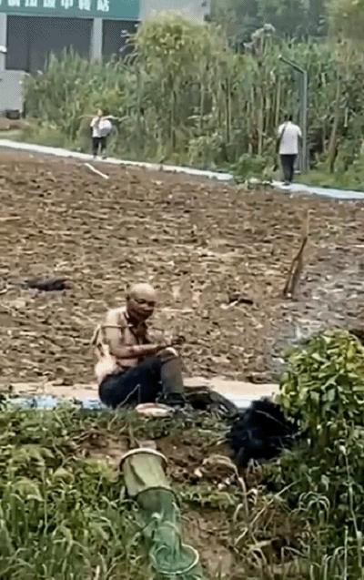 |钓鱼碰触高压线伤亡谁负责?这几种情况可大额索赔