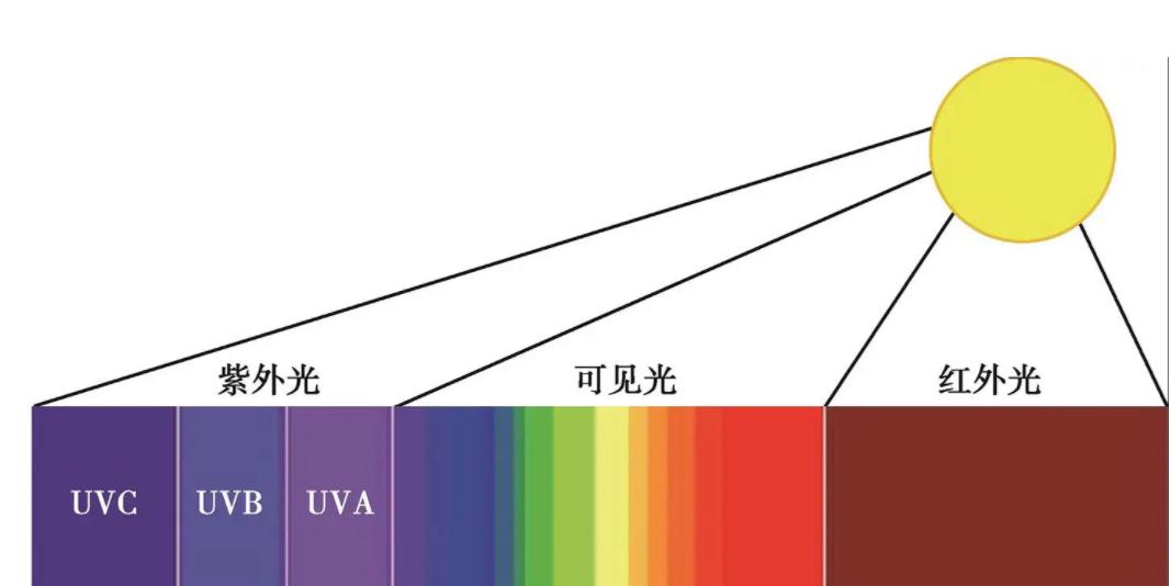 晚年牛顿研究神学,杨振宁承认造物主存在,科学的尽头是玄学吗?
