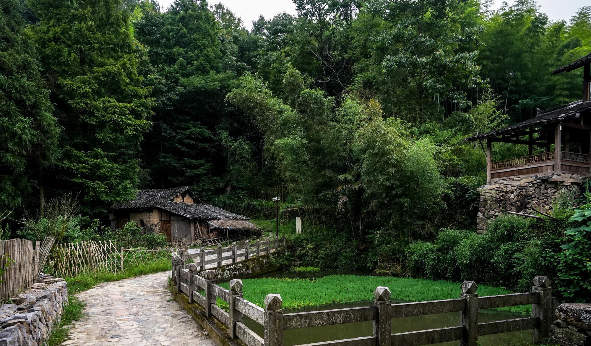 西塘|浙江最后一个通上高速的县城，人文可读千年，风景不输九寨沟