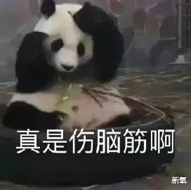 叶河林|网红圈塌了？18岁美少女被告知塌房，恋爱中无缝衔接？