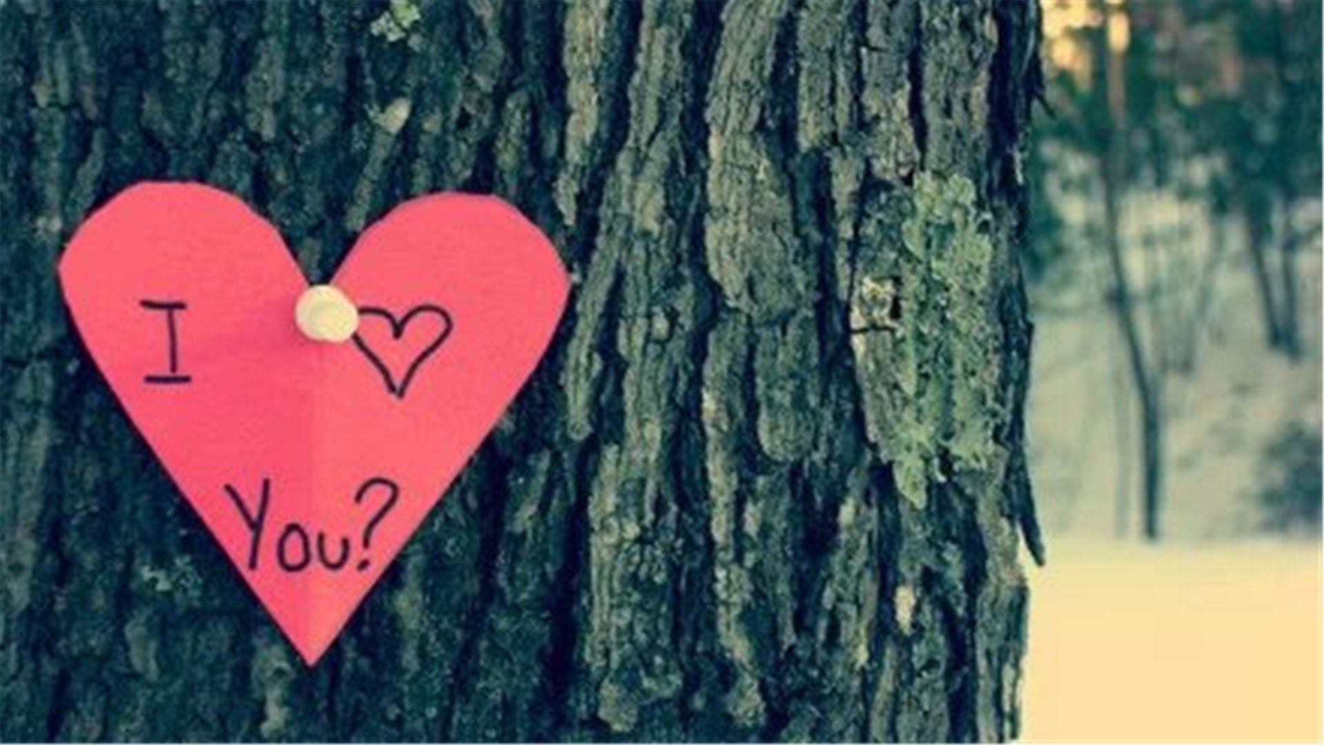 处女座|你不主动,我们怎么可能有故事?这个星座永远在等待