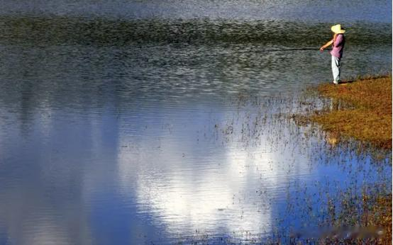 饵料|夏季钓鱼,钓位是根本,做好4点,大小水面都能钓,爆护也不难