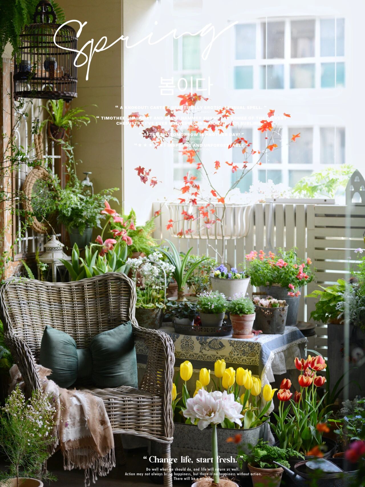 没有大院子,14㎡方寸阳台也能打造“四季小花园”,被美到了