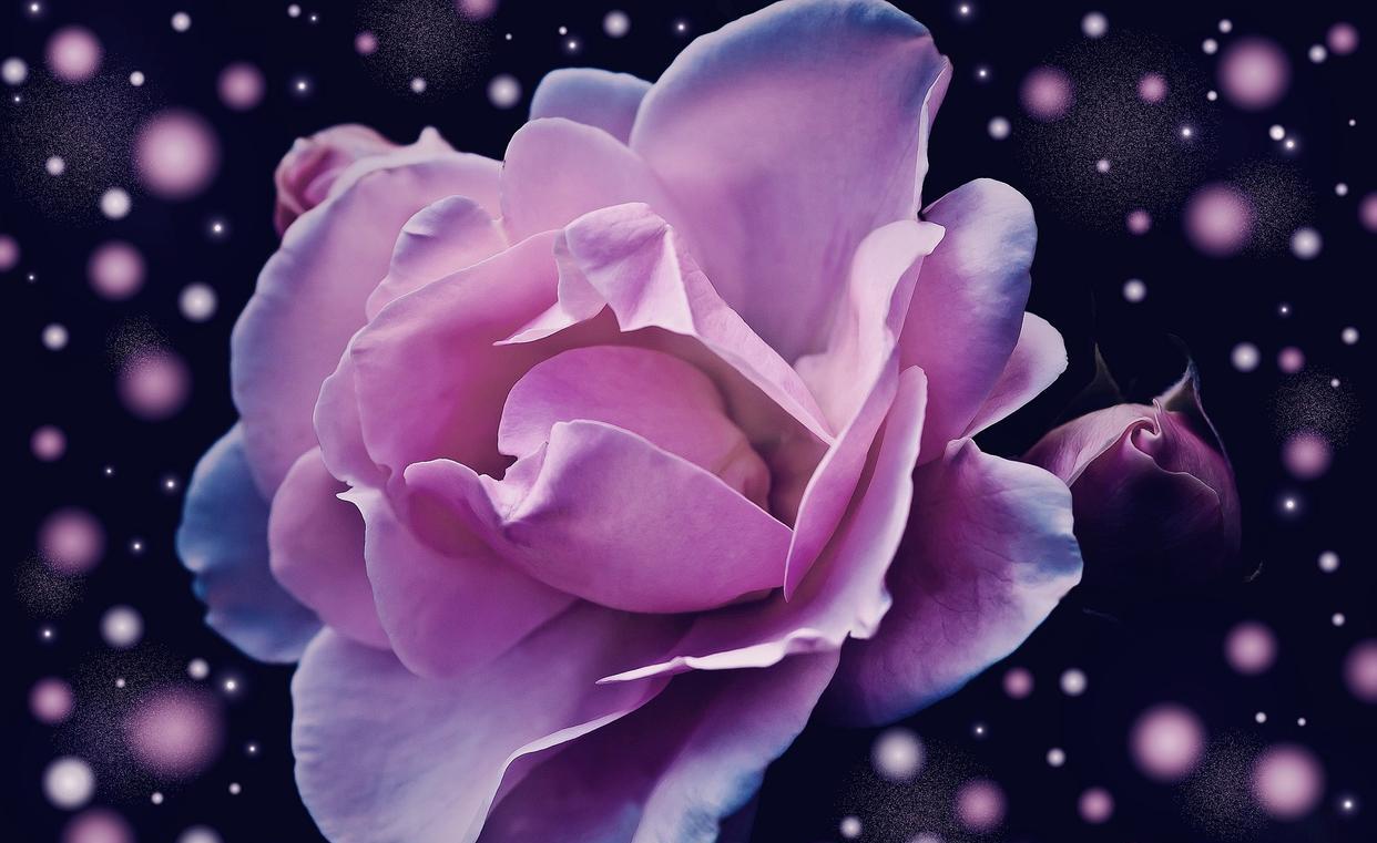 |职场中，抓住这三个人，你的事业会更上一层楼