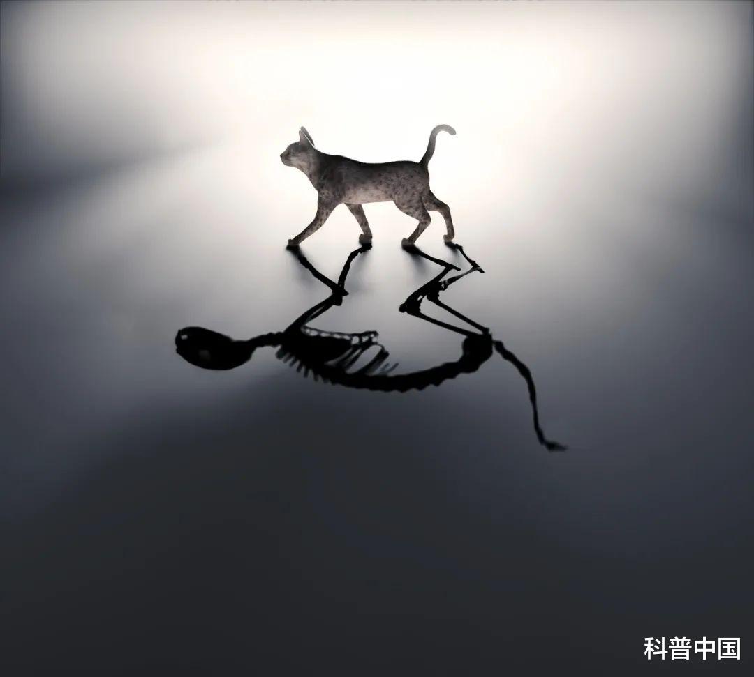 量子通信卫星很难懂?其实和异地恋像极了……