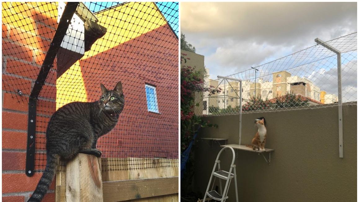 他家院墙有点意思，原来院墙多搭半截网，是怕家里宠物夜半潜逃