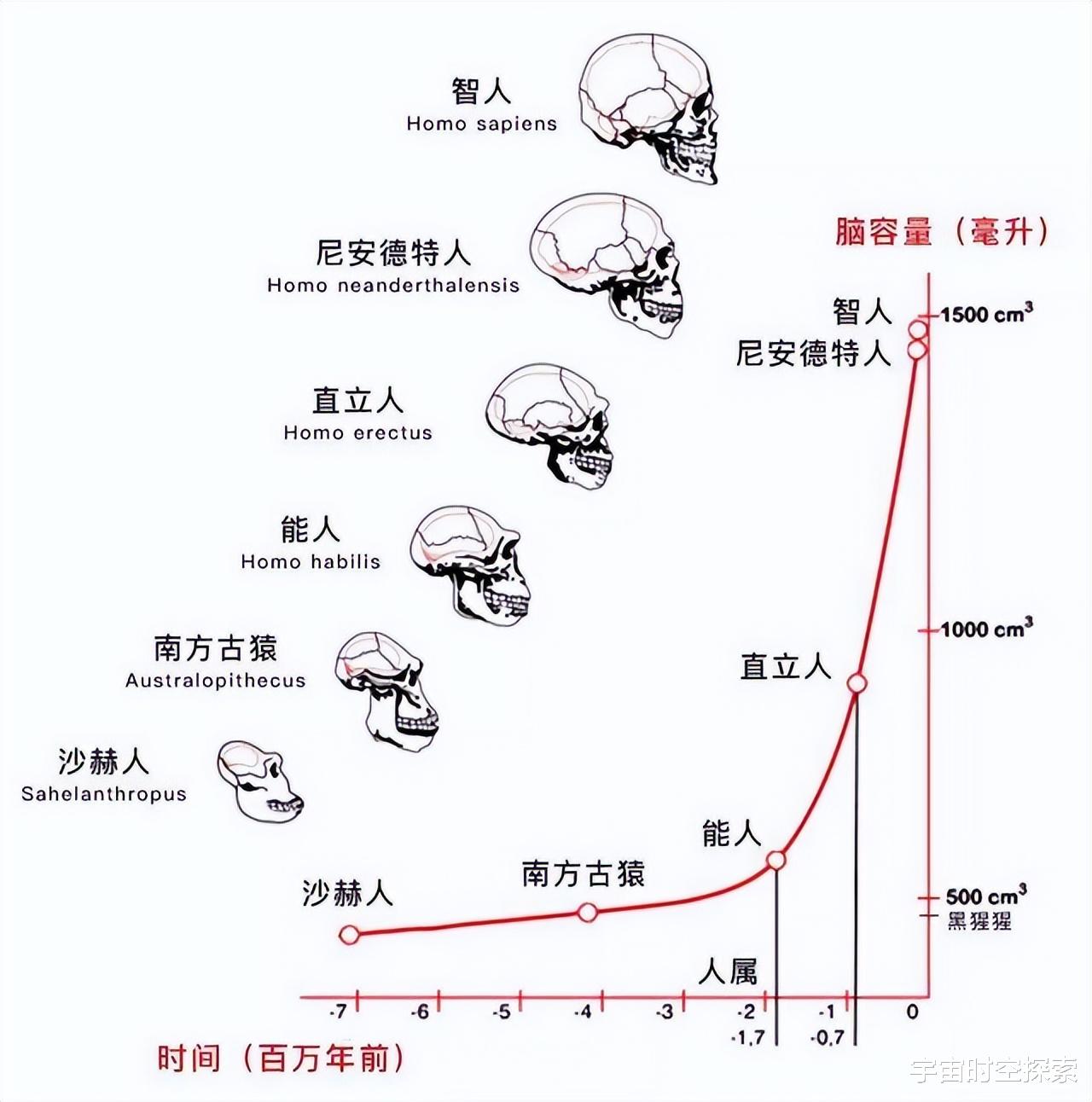 世界上本没有人,那么地球上第一个人是如何出现的?