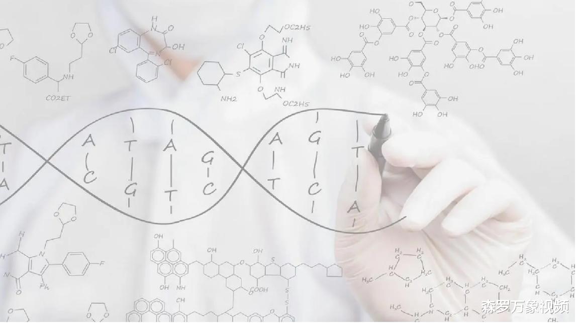 野生动物也能杂交,它们繁殖的后代有多惨?动物杂交该被禁止吗