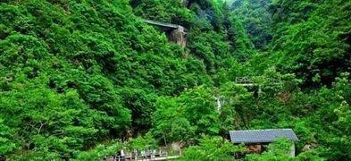 美丽|杭州值得去的景区，沿途花木遍布，有“神农架”的称号