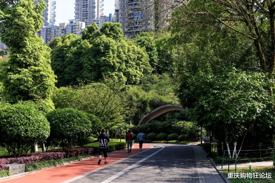 |公交直达，湿地、草坪、运动场！这个宝藏公园怎么还不出圈？