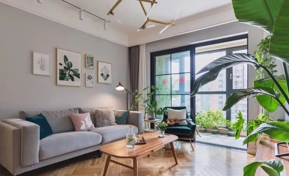 晒晒我家阳台花园,喝茶赏花享受生活,同事来了都舍不得走