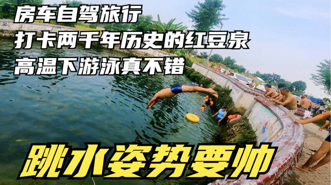 柳树|房车自驾旅行打卡两千年的红豆泉 跳水姿势要帅 高温下游泳真不错